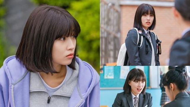 '스피릿 핑거스' 채수하 