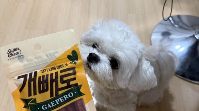 처음 먹는 간식 반응 보기