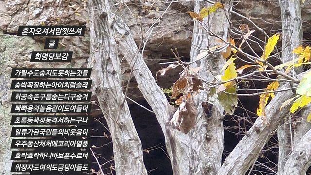 [보감과의 동행168]  혼자오셔서맘껏쓰셔