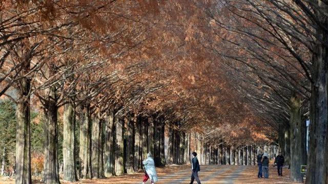 전북 출근길 곳곳 살얼음…낮 6~9도 '하늘 맑음'