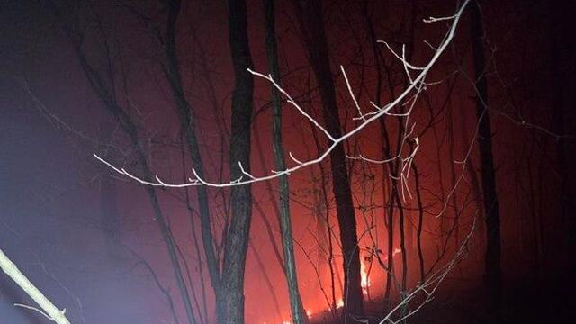 충남 태안 안면읍서 산불…1시간 51분 만에 진화