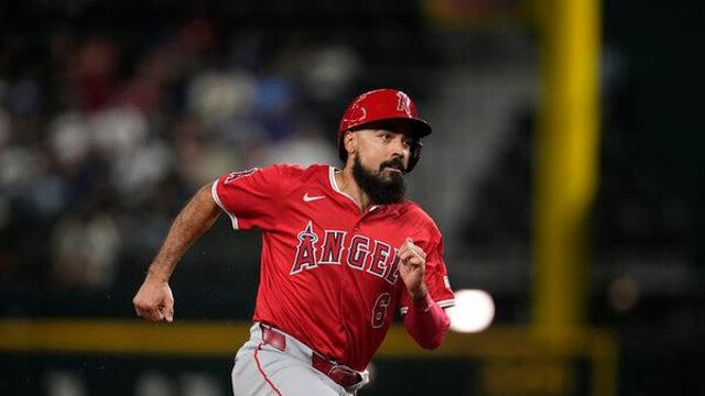 'MLB 최악의 계약' 렌던, 에인절스와 결별…