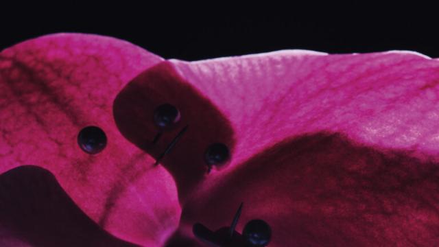 좋은 관계를 위한 마음가짐