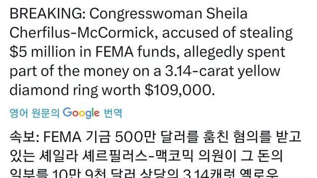 미국 민주당 근황