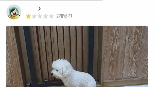 요즘 못생겼다를 돌려서 말하는 언어.txt