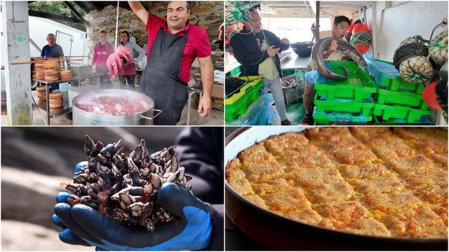 '세계테마기행' 1일 5식의 나라 스페인 미식 로드 4부, 갈리시아 편