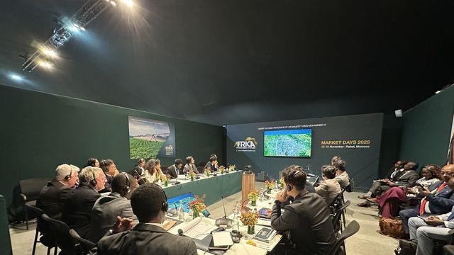 포스코인터 탄자니아 마헨게 흑연광산에 복수 해외투자자 관심