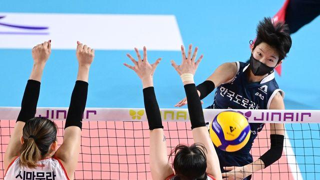 여자배구 도로공사, 10연승·남자부 OK 신영철 감독은 300승(종합)