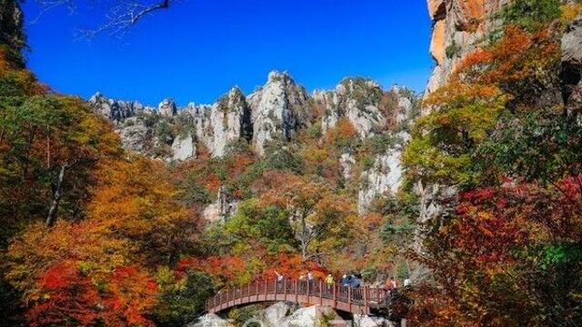 “외국인도 반한 K-산행! 올가을 '단풍 놀이' 인기 폭발