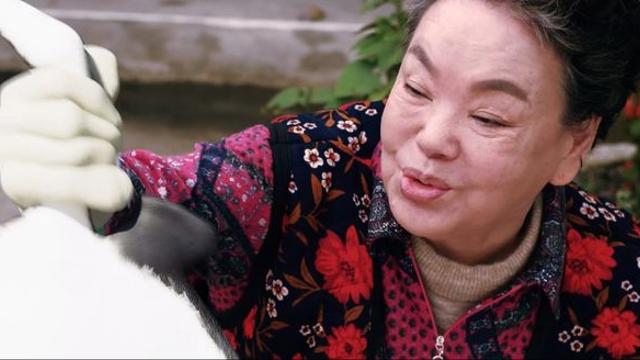 故 김수미의 마지막 코미디 영화…'홍어의 역습' 내달 개봉