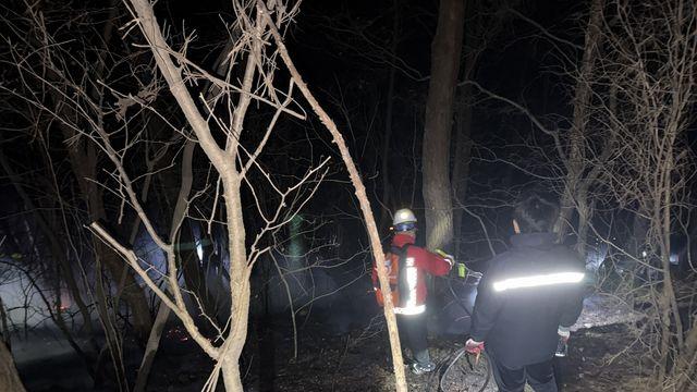 충남 태안에서 산불 잇따라…인명피해 없어