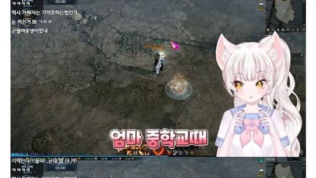 육군 빼고 다 다녀온 스트리머.jpg