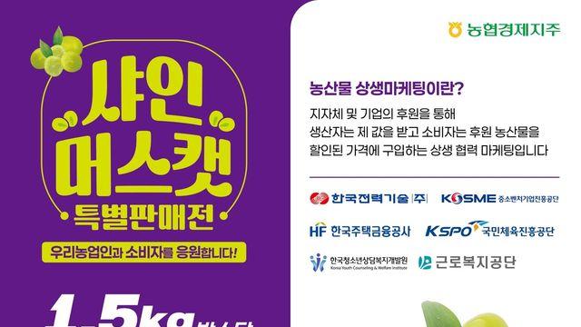 농협경제지주, 하나로마트서 샤인머스캣 소비촉진 상생 할인