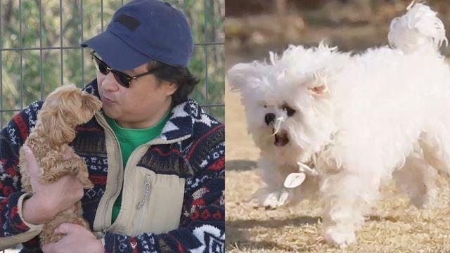 '건물주' 구성환, 확 달라진 옥상…핑크빛 '벽화 마을' 변신 (나혼산)