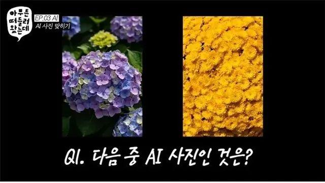 진짜 어렵다는 AI 구분 하기.,,