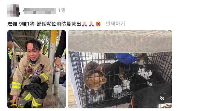 “모든 생명 지키기 위해”…홍콩 화재 속 반려동물 10마리 품은 소방관