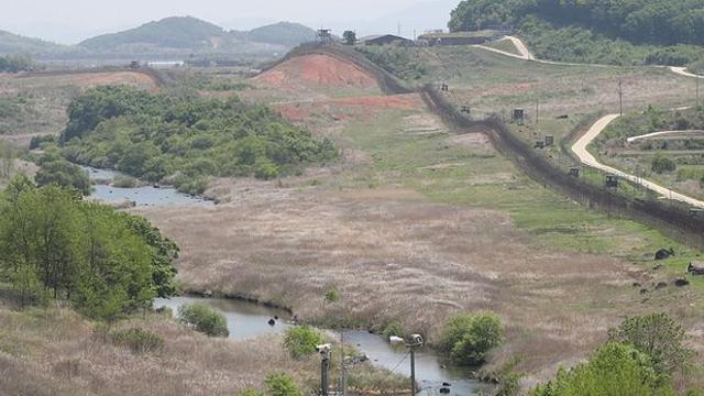 세계적으로 처음 발견…비무장지대서 한꺼번에 3마리 나타난 '신종 동물' 정체