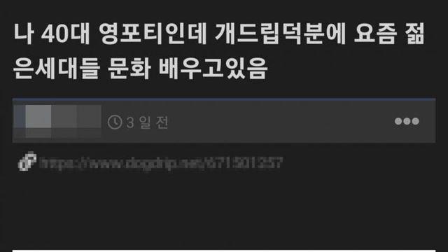 커뮤에서 젊은 세대 문화를 배운 영포티