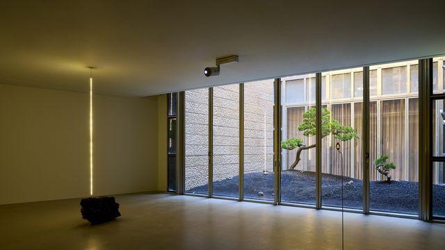 길을 잃을 때 비로소 보이는 자연…도심 전시장 속 작은 숲