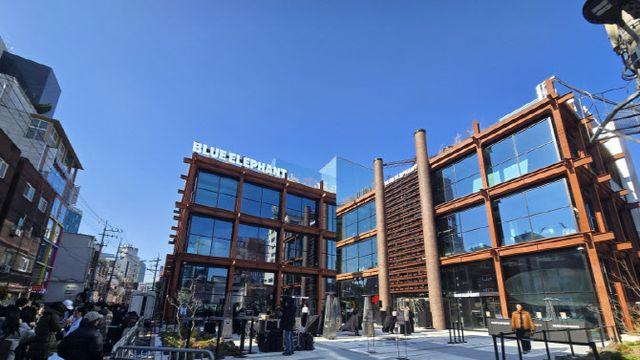 아이웨어 넘어 '컬처'를 판다, 미리 가 본 '블루엘리펀트 스페이스 성수'[르포]