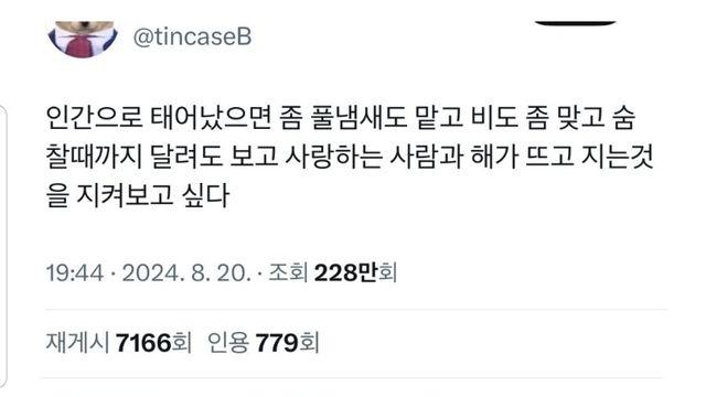 인간으로 태어났으면 좀 풀냄새도 맡고 비도 좀 맞고