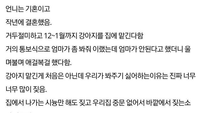 강아지를 두 달이나 맡긴다는 언니