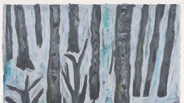 리너스 반 데 벨데가 작업실에서 펼친 상상의 여정