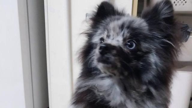 산책하기좋은날씨~~