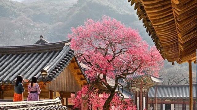 미국 CBS가 선정한 한국 10대 사찰 