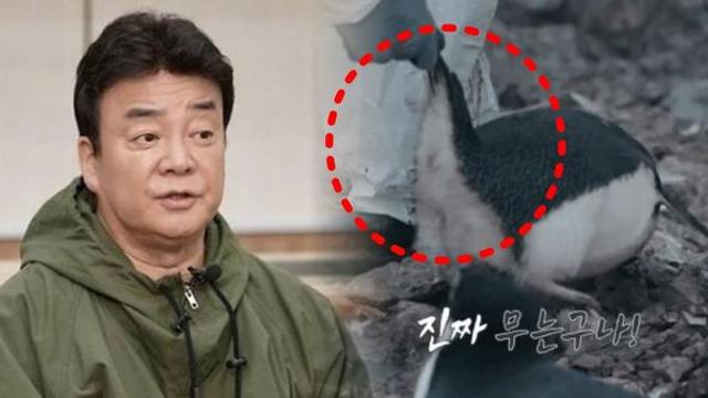 예능 '남극의 셰프' 동물 학대 논란에 