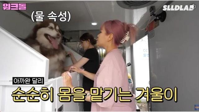 개한테 고통받는 미녀 대만 넘버원 여자 아이돌 ㄷㄷㄷㄷㄷㄷ