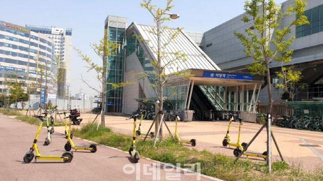 파주시, 전동킥보드 운행 금지 제도적 근거 마련 돌입