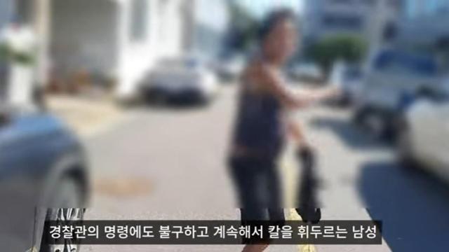흉기 들고 다니며 밤새 시민 위협…60대, 상습절도 혐의도