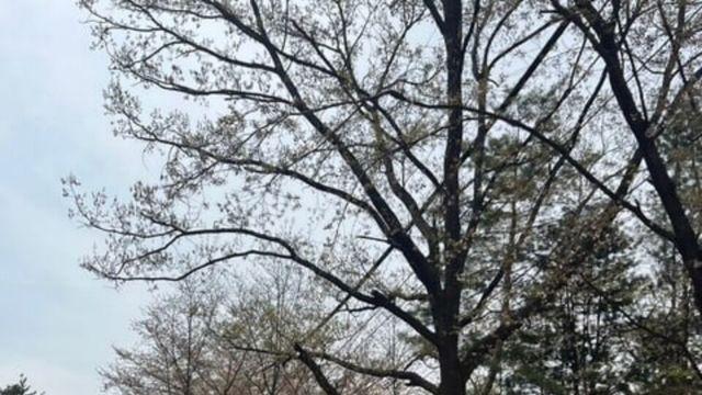 금호석화그룹, 지역사회 변화 만든다…현장 중심 사회공헌 '주목'