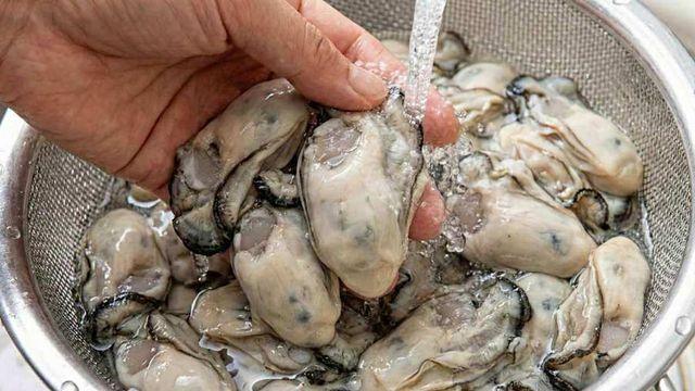 생굴 '수돗물'로 씻으면 큰일 납니다…김장철 굴은 무조건 '이렇게' 씻으세요