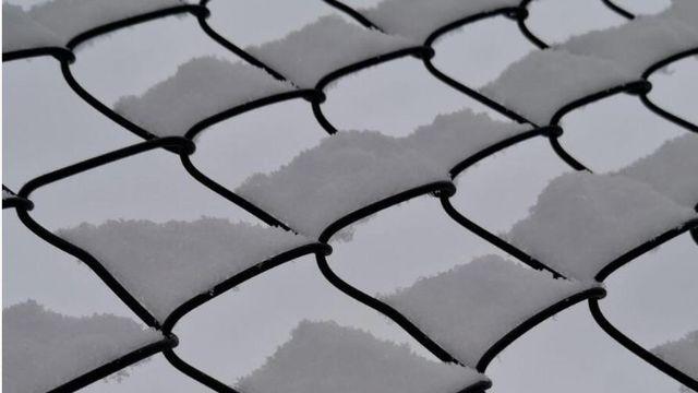 현재 레딧서 핫한 사진 한장