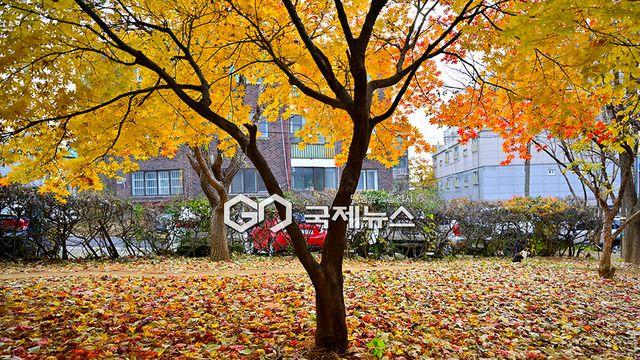 날씨, 부산·제주 21도 