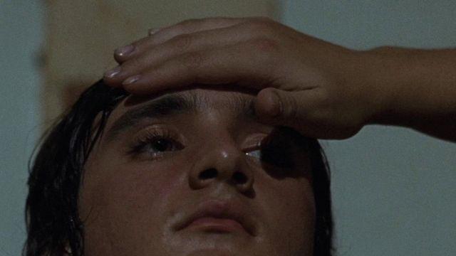 봉준호 감독이 보고 3번 운 영화…’4개국 합작→칸 수상’, 7년 만에 극장 찾는다