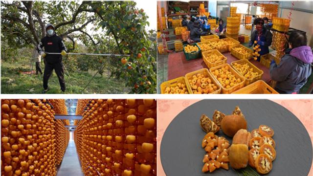 ‘극한직업’ 상주 곶감과 K-양말, 겨울을 잇는 손맛과 기술