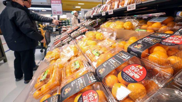 지금 꼭 먹어야 한다…면역력 높여주는 12월의 천연 항산화 과일