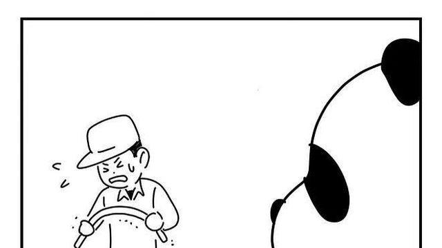 사육사 손에서 자란 판다의 버릇 