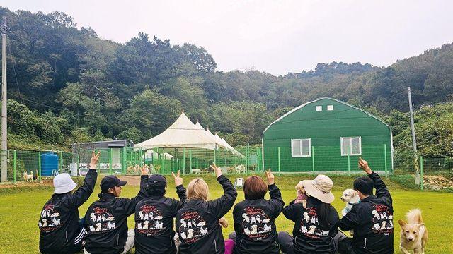 평생 가족 찾아줄게, 버려진 동물 위해 두 발로 뛰는 동물 단체들