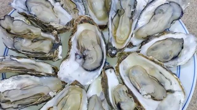 술을 부르는 12월 음식 석화 '손질'을 이렇게 하면 횟집에서도 배우러 옵니다