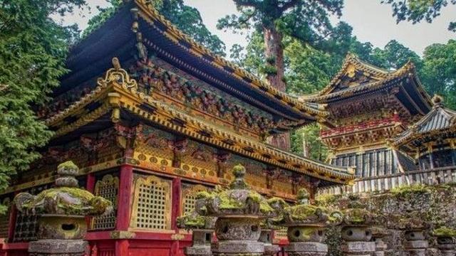 日서 종이 갉아먹는 해충 급속 확산…문화재 피해 우려