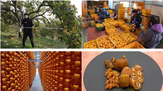 EBS1 '극한직업' 겨울철 대표 간식, 곶감 外