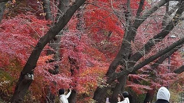 충북 흐린 가운데 다소 포근…낮 최고 13∼18도