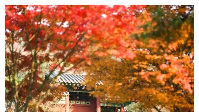 사진을 찍어왔는데 봐줄래?