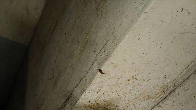 내가 일하는 곳