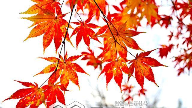 날씨, 토요일아침 