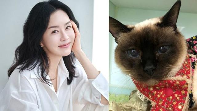 김정난, 사랑하는 반려묘 떠났다… “잠시만 안녕” 먹먹